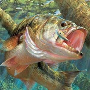 Meet your Posher, Josh